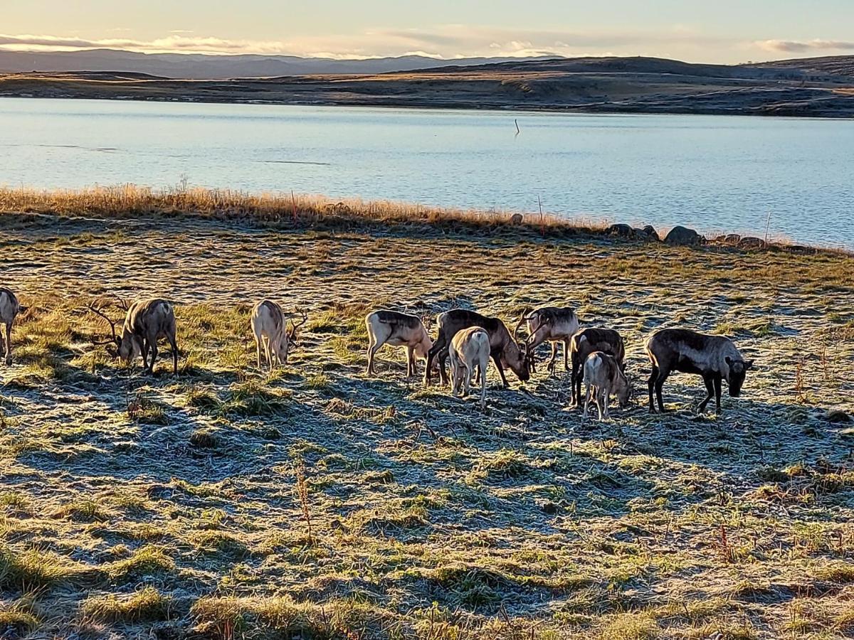 Austertanakrystallen By Pure Lifestyle Arctic Zewnętrze zdjęcie
